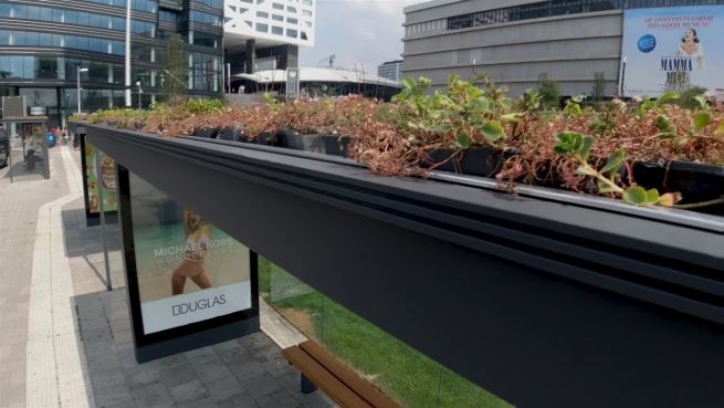 go to Innovative Städte: Was Utrecht für den Klimaschutz tut