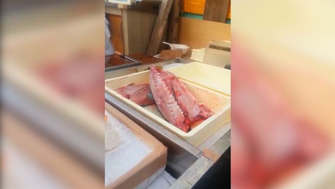 go to Ohne Kopf: Toter Fisch hört nicht auf zu zappeln
